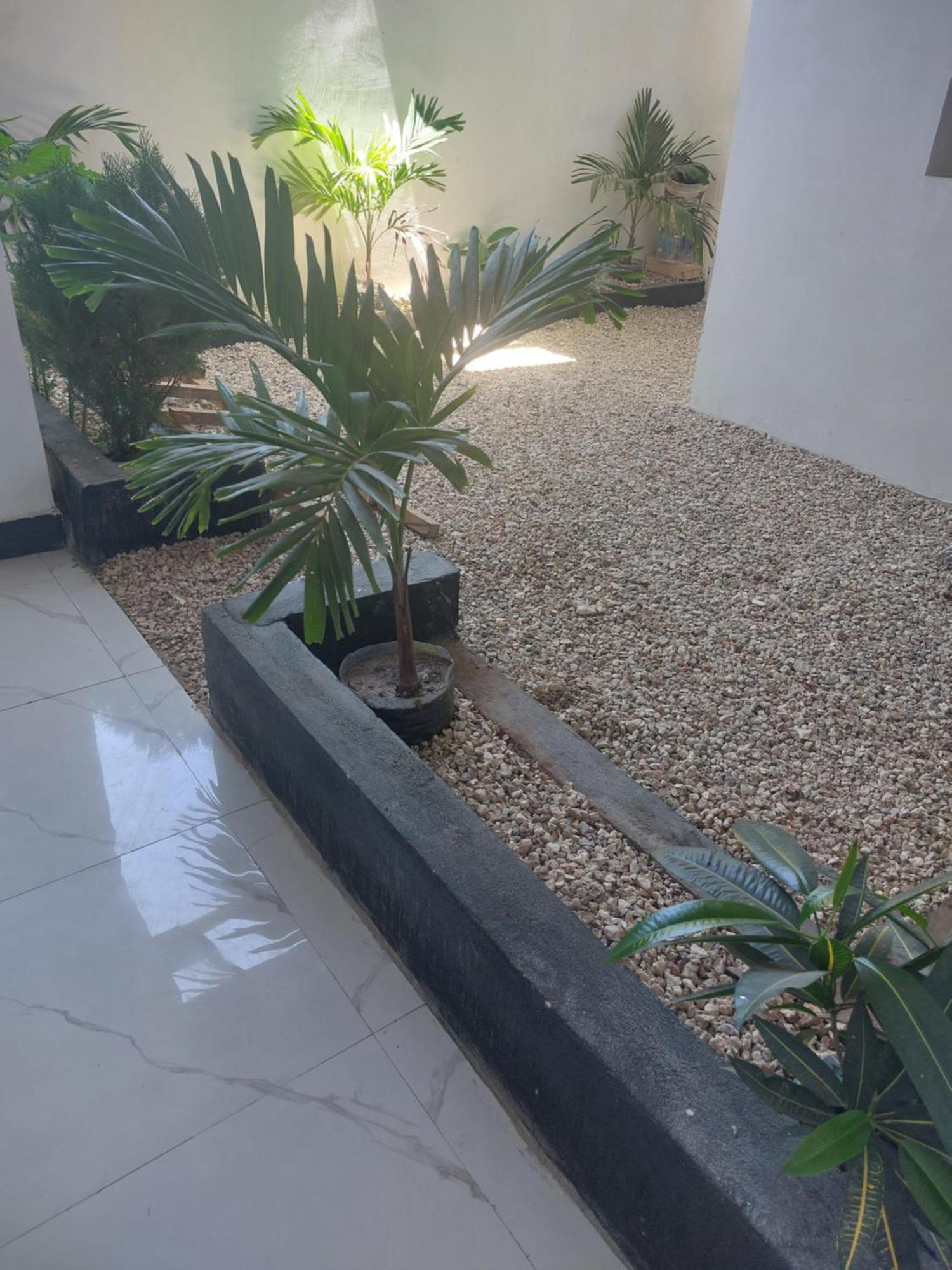 Zansi Beach House Nungwi Zewnętrze zdjęcie